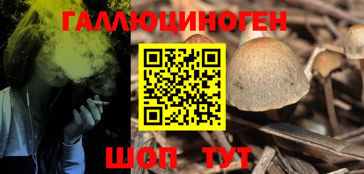 Галлюциногенные грибы Magic Shrooms Ирбит