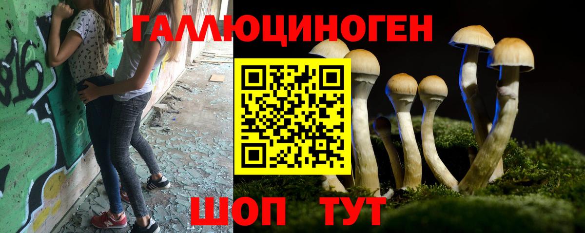 хочу наркоту  Галлюциногенные грибы Psilocybe  Ирбит  Вход с VPN  Галлюциногенные грибы мицелий 